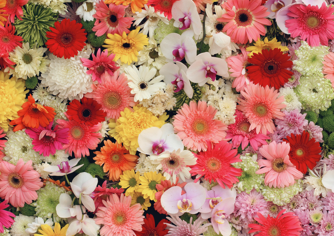 Move Over Flowers: 5 Reasons Brownies Make the Best Valentine’s Gift