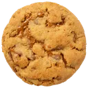 Lotus Biscuit